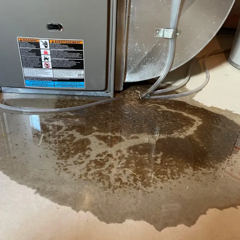 Appliance Leak Cleanup in DeKalb County, MO